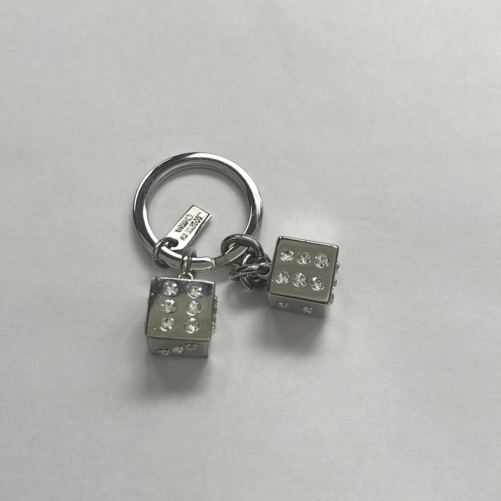 Coach key chain
